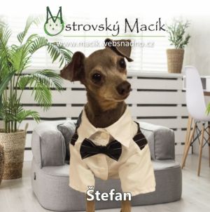 Štefan pes 