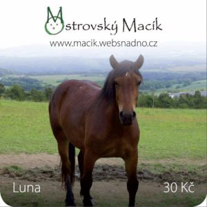 Luna kůň