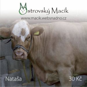 Nataša kravička