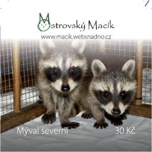 Mývalové