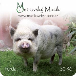 Ferda prasátko
