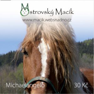 Michaelangelo kůň