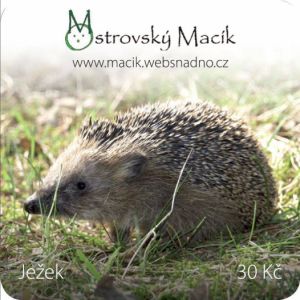 Ježek