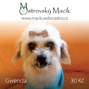 Gwenda 