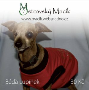 Béďa Lupínek