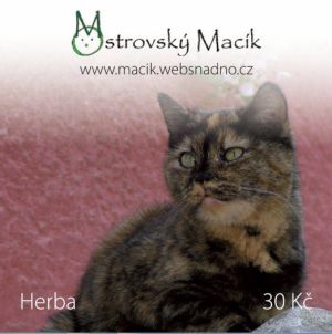 Herba kočička